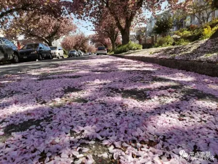 出乎意料的基金排名!
